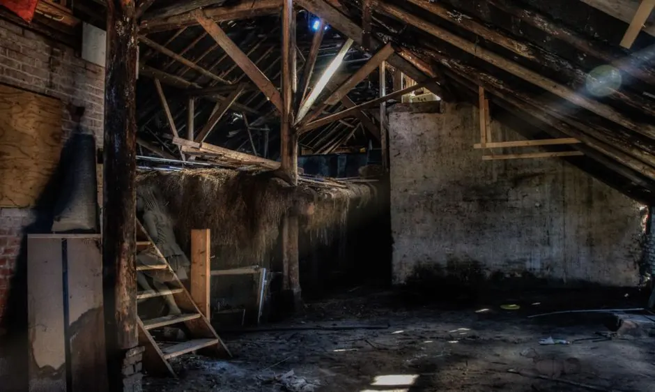 How to prevent mold growth in your attic