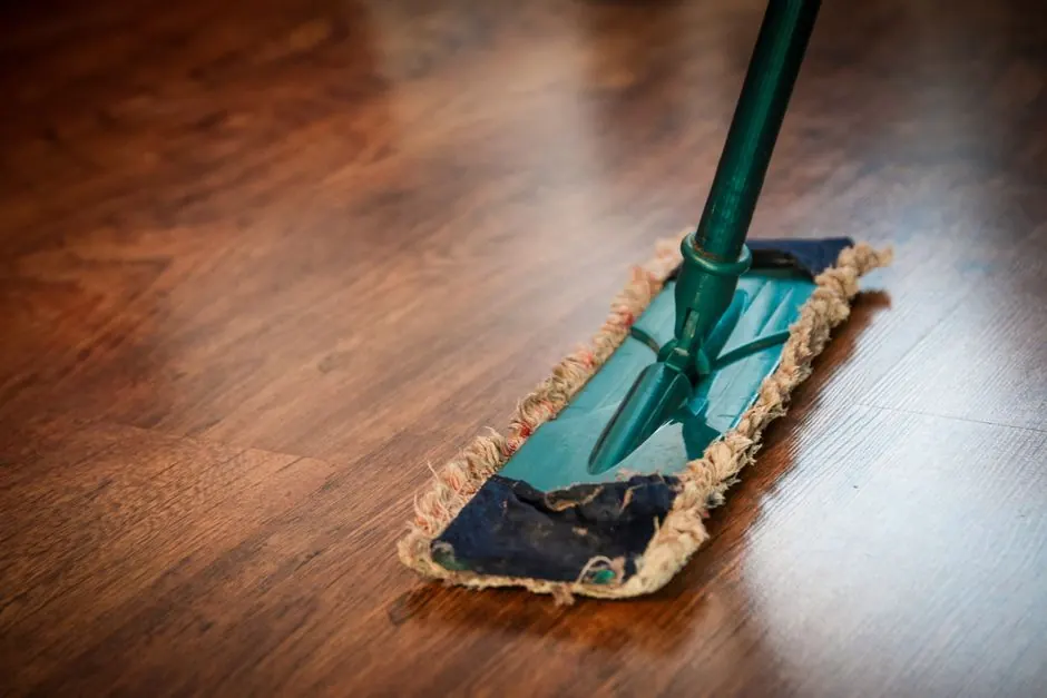Mold Remediation in Oakland Park, Florida